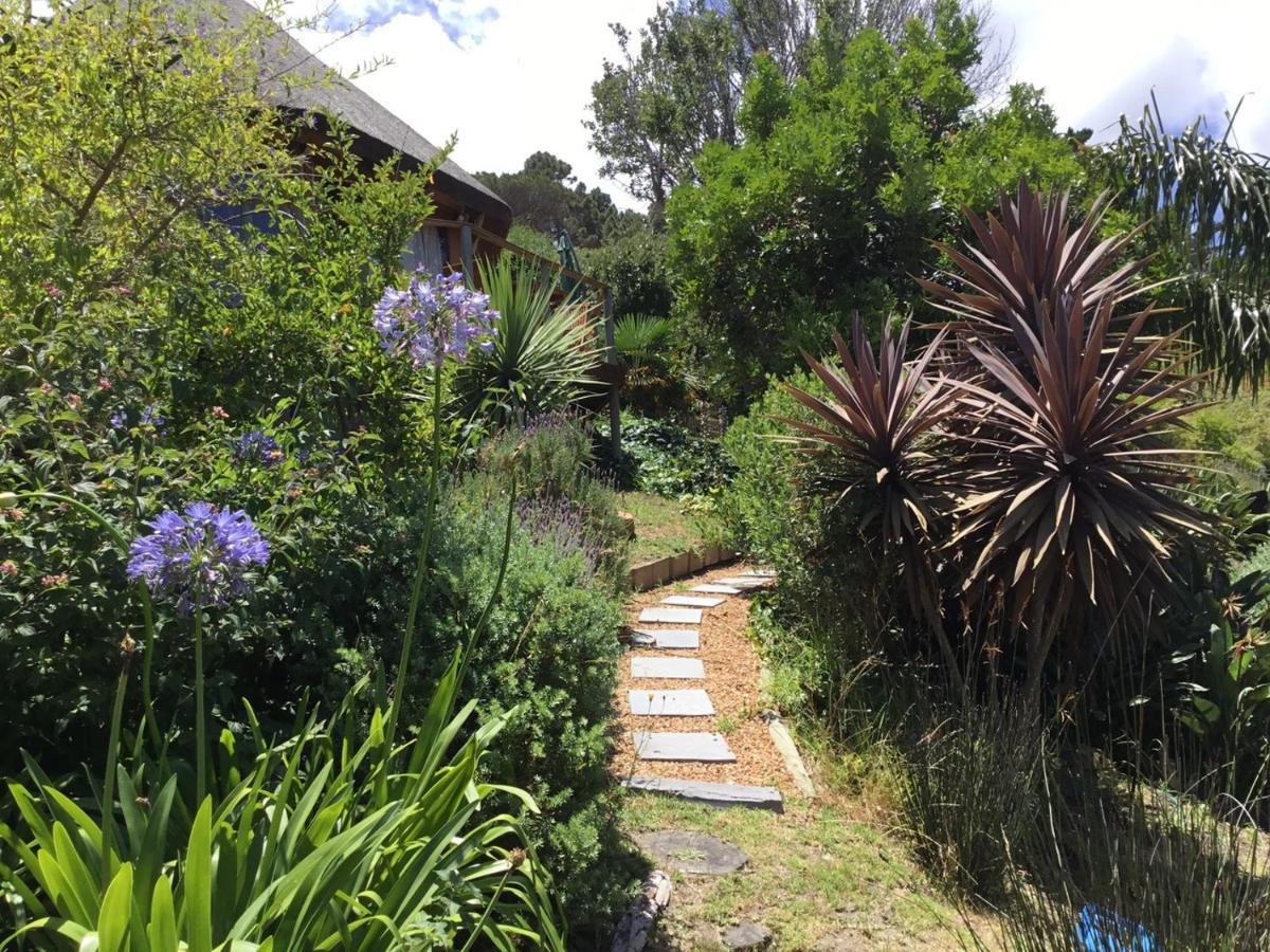 Oceangolf Guest House Noordhoek Exterior foto