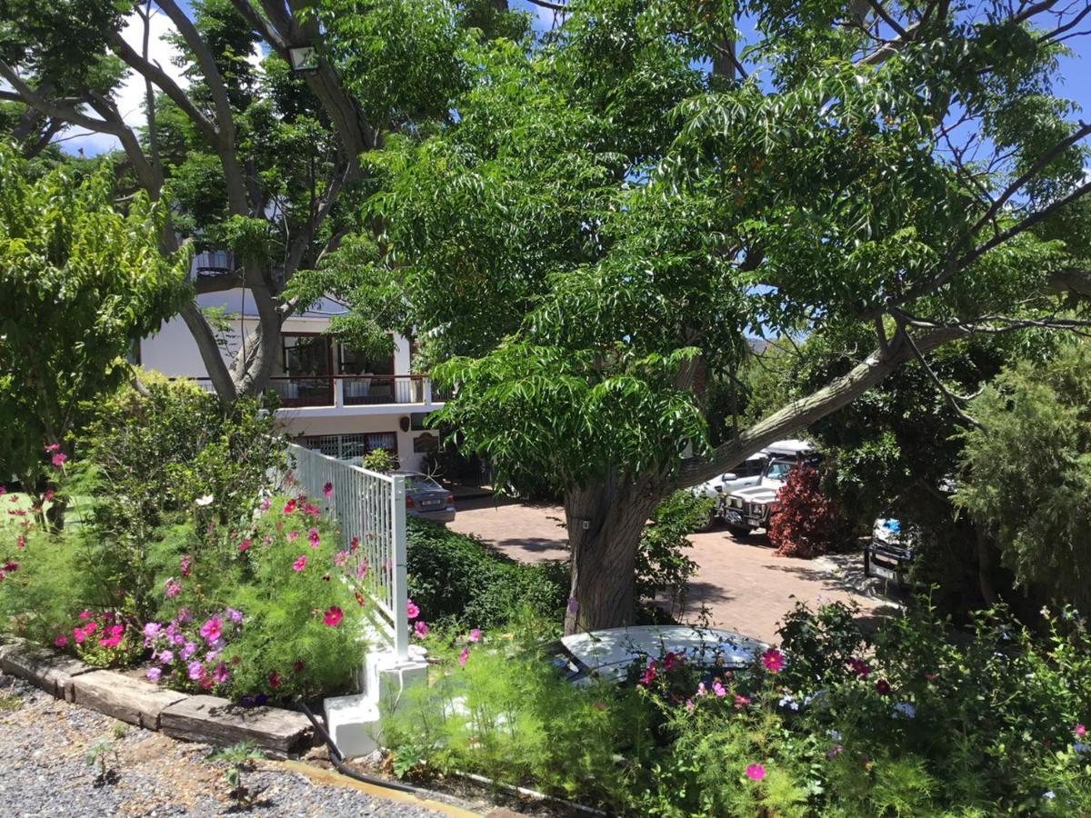 Oceangolf Guest House Noordhoek Exterior foto