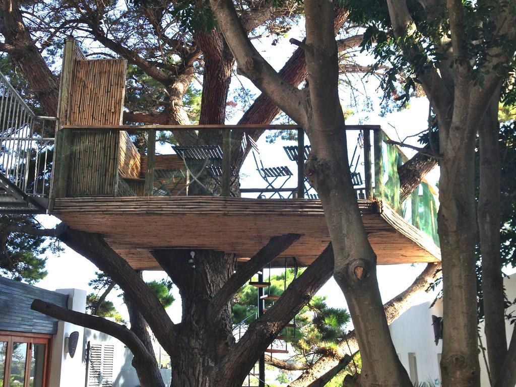 Oceangolf Guest House Noordhoek Exterior foto